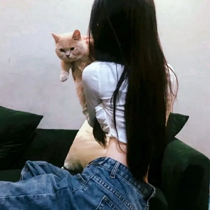 超越游戏 排行榜