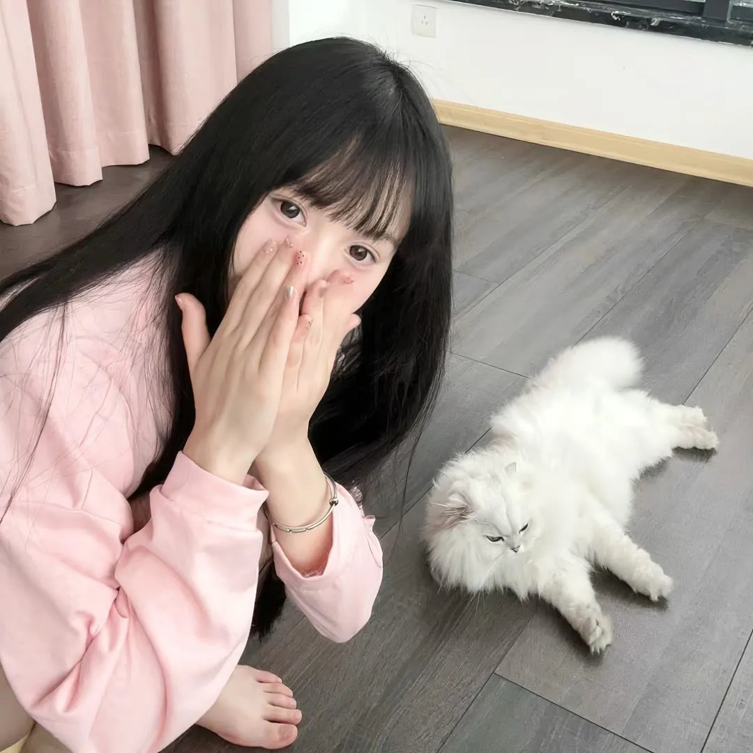 朋友与鳄鱼 排行榜